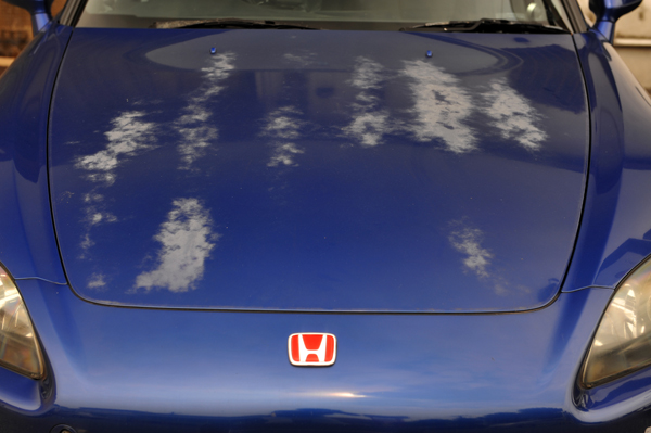 150728 HITMAN DSC_5455.jpg